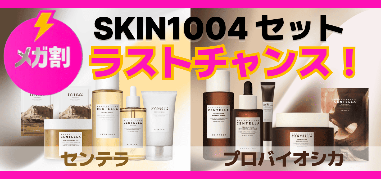 メガ割 SKIN1004 SET