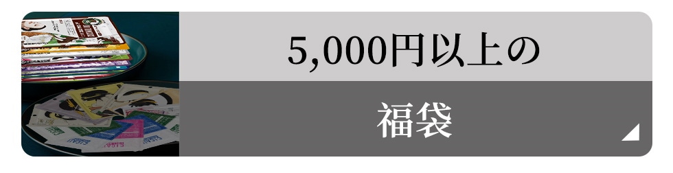 5000円以上