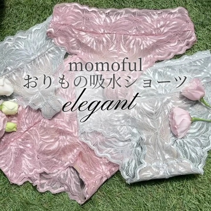 Qoo10 momoful おりもの吸水ショーツ レース2枚 サニタ